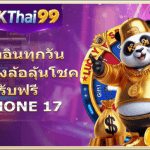 okthai993